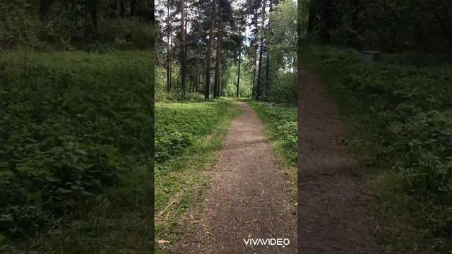 Релакс 🎵 музыка смотреть онлайн