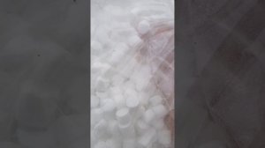 Методы и средства борьбы с варроатозом и акарапидозом пчел.