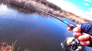 Две Рыбалки на Спиннинг перед нерестом Щуки в Марте 2025! Такую МАНДУЛУ ещё НЕ ВИДЕЛ.