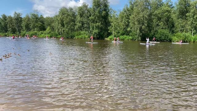 Джек рассел терьер встаёт на САП борд. Катаемся с собаками на сапах 2024