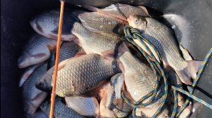 Рыбалка Чаны Колояр март 2025