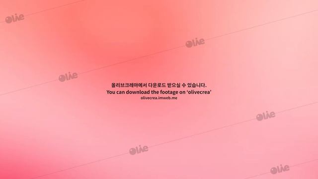(올리브크레아) 추상적인 배경영상으로 쓰기 좋은 분홍색 그라데이션 물결효과 푸티지 다운로드