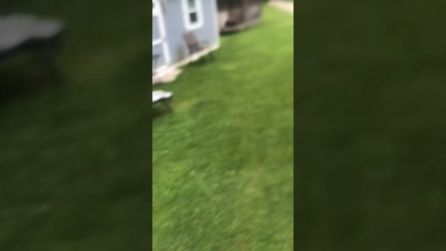 Monday 🎯 Targeting Stories, Perp Hiding In Closet, Kentucky is a Tropical Rain Forest смотреть онлайн