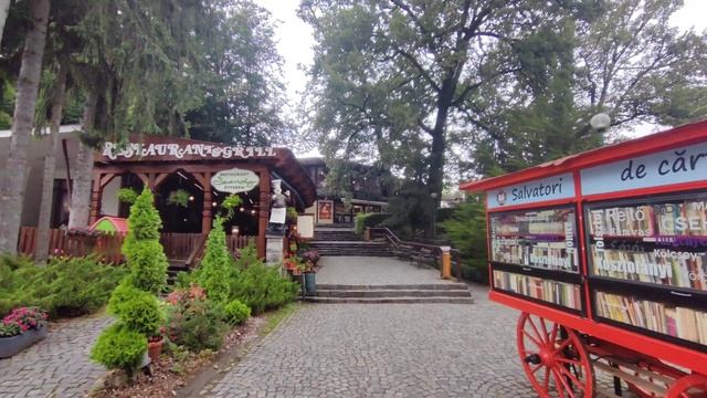 SOVATA 2024 - Cea mai frumoasă stațiune din SECUIME. Coadă la poze cu Ursu смотреть онлайн