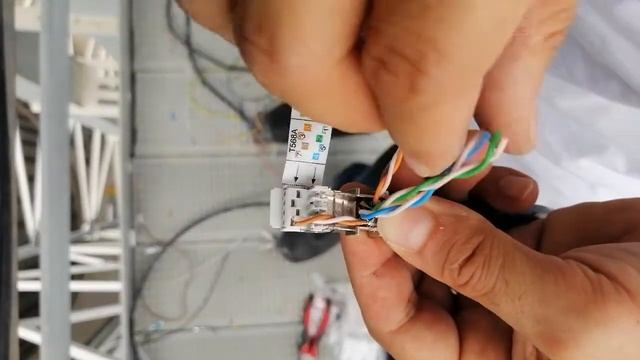 WEİDMÜLLER IE PS RJ45 FH BK Bağlantı (Eğitim Amaçlı)