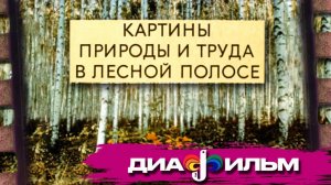 Диафильм. Картины природы и труда в лесной полосе. (Озвученный.)