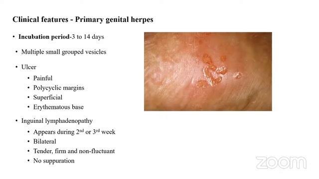 NEXTILLO'S INTEGRATED SERIES PART 3 || MICROBIOLOGY + DERMATOLOGY || смотреть онлайн