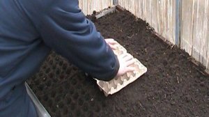 САМЫЙ УДОБНЫЙ СПОСОБ ПОСАДКИ РЕДИСА!!! ЭКСПЕРИМЕНТ С ДАЙКОНОМ, ПРУД БЕЗ ПОТЕРЬ!!!