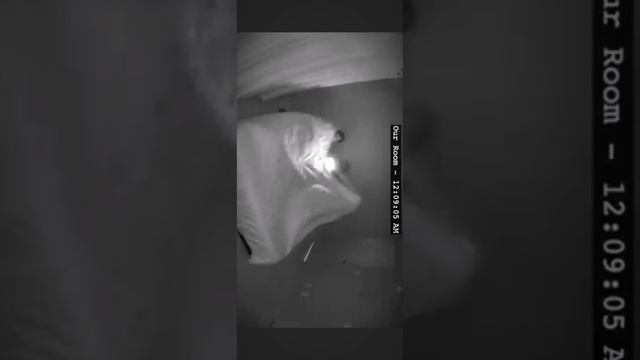 Страшные видео