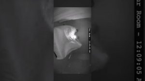 Страшные видео