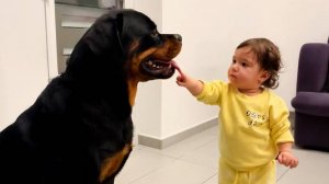 Дети и собаки 🐶👶💖