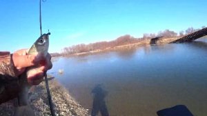 Спиннинг  NEOLINE NLS572EEXUL 0 1- 2.0 gr. Ловля в пелагике Амурских подъязков.