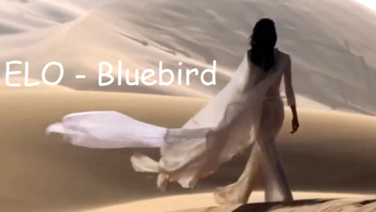 ELO - Bluebird (mix 2025)