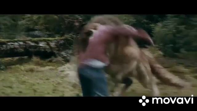 Сумерки. Сага затмение. смотреть онлайн