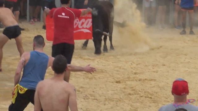 🟢2019 DENIA 12 ◾ INTEGRA Gran Dia de DIVERSION en el Mar смотреть онлайн