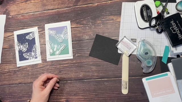 Quick Video - Butterfly Brilliance