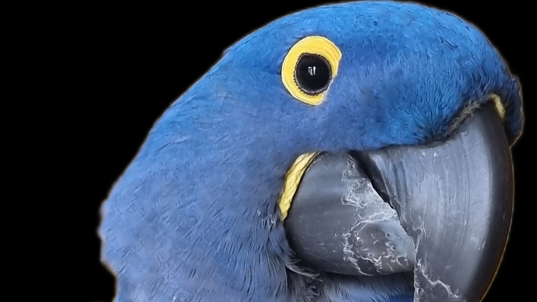 Обнимашки)))