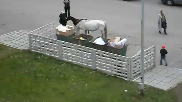 Кони на помойке смотреть онлайн