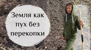 Рыхлая, плодородная земля без перекопки. Сею морковь в некопанную грядку