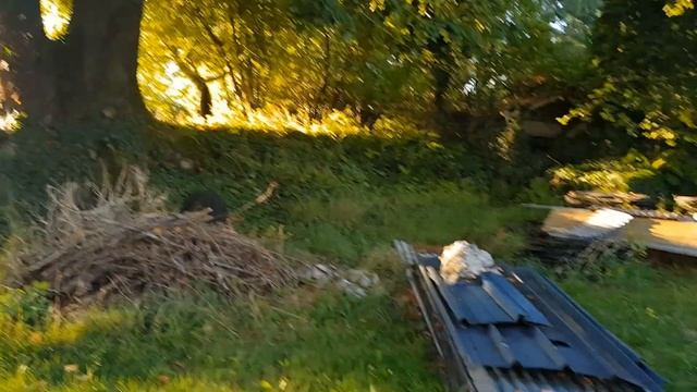 Verbouwing Franse Schuur - We Mogen Weer het Dak op van het Weer смотреть онлайн