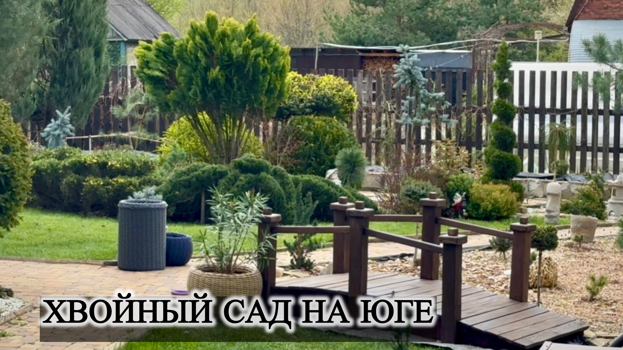 Хвойный сад на юге 30.03.2025 смотреть онлайн