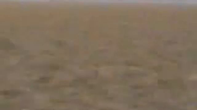 Знамение Аллаха Wonders of Allah_mpeg4.mp4 смотреть онлайн