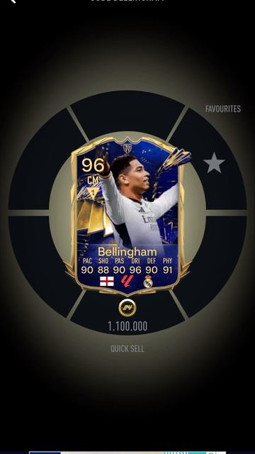 Bellingham toty in a pack смотреть онлайн