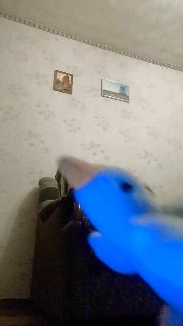 Гусики на ночь глядя развлекаются. #гуси #играют #утка #утки #гусь .