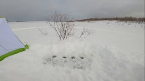 Классная рыбалка на Нижней Тунгуске. 23.02.2022