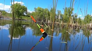 РЫБАЛКА В МАЕ 2021 ! ЛОВЛЯ КАРАСЯ НА ПОПЛАВОЧНУЮ УДОЧКУ!