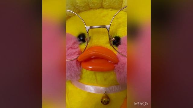 Утка 🦆 туц туц смотреть онлайн