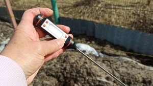 💁 Когда открывать виноград в Подмосковье 🍇🍇🍇