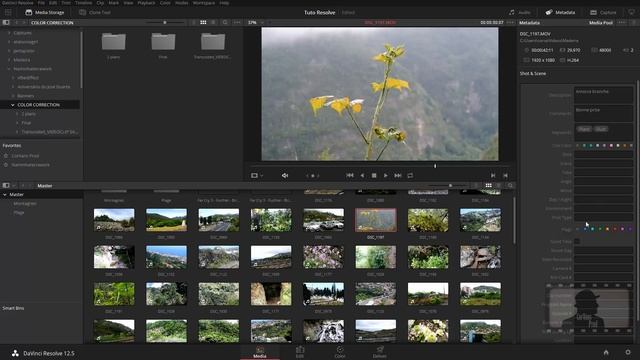 DaVinci Resolve 12 : Bins, métadonnées смотреть онлайн