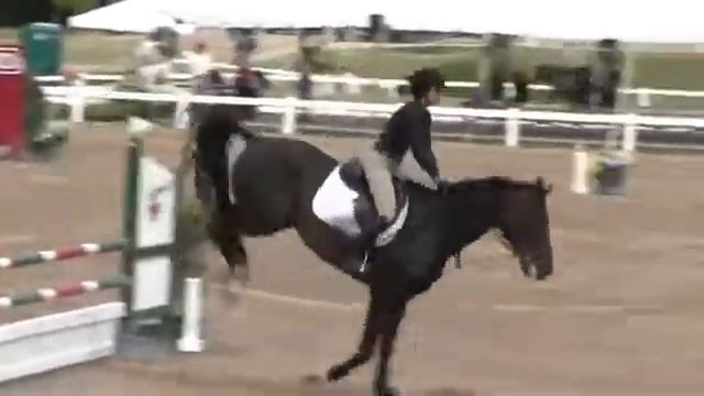 Video of ATLANTIS ridden by ILA B. ZIELKE from ShowNet! смотреть онлайн