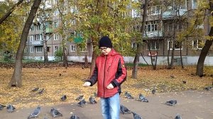 Гули гули дасвидули