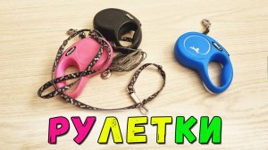Как выбрать рулетку? Рулетка или поводок: что лучше?