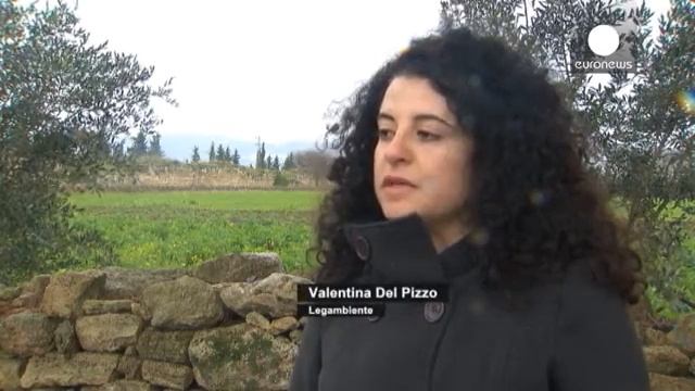 Екологи Італії закликають викупити Пестум у фермерів смотреть онлайн