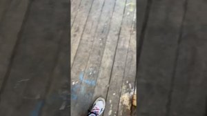 ТЕГИНГ И ГРАФФИТИ НА УЛИЦАХ СПБ!!!)))
