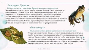 Многообразие земноводных.