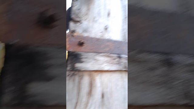 Простий спосіб збереження суші. смотреть онлайн