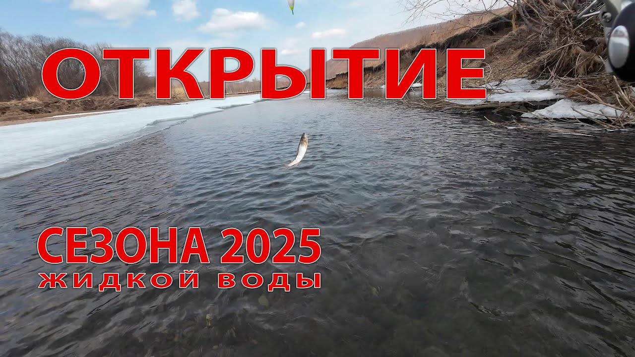 Открытие сезона жидкой воды 2025 на реке Арсеньевка #горнаярыбалка #хариус #ленок смотреть онлайн