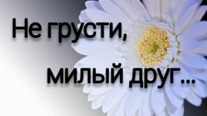 Не грусти милый друг # христианская песня