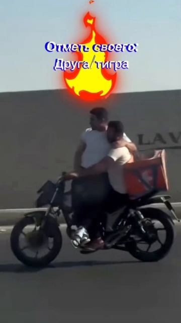 Подвез по дружбе #рекомендации #fyp #memes #moto #залетит смотреть онлайн