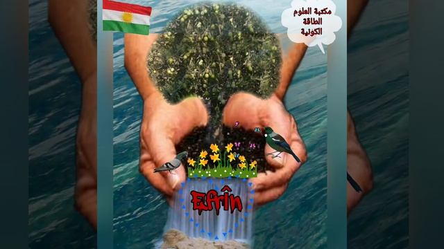 شجرة زيتون #عفرين смотреть онлайн