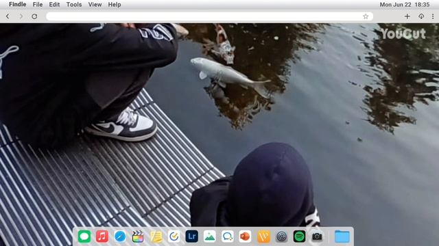 ТИМ ФУТ 👟 смотреть онлайн