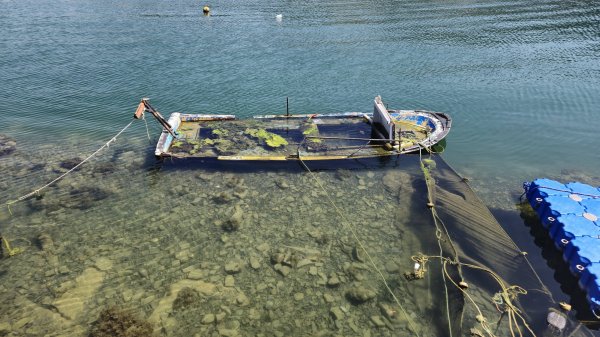 На Черное море в 2024