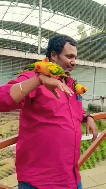 Fun Videos Enjoyment at Resort in Yercaud - Subscribe #shortsfeed #shorts смотреть онлайн