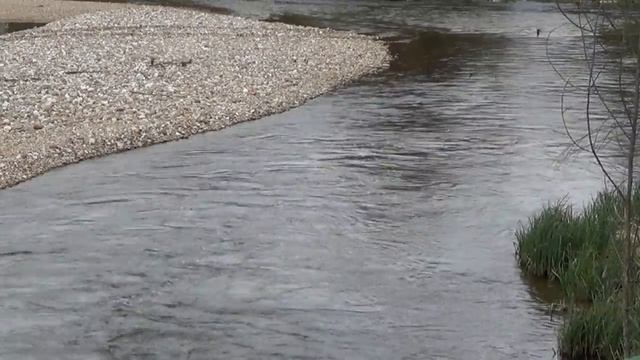 En plena eclosión смотреть онлайн