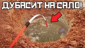 ЧЕСНОЧНЫЙ СЕКРЕТ ПОВЕРГ В УЖАС! Наловили КРУПНЯК на ХИТРОЕ сало! Рыбалка весной 2025