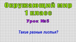 Окружающий мир 1 класс (Урок№5 - Такие разные листья?)